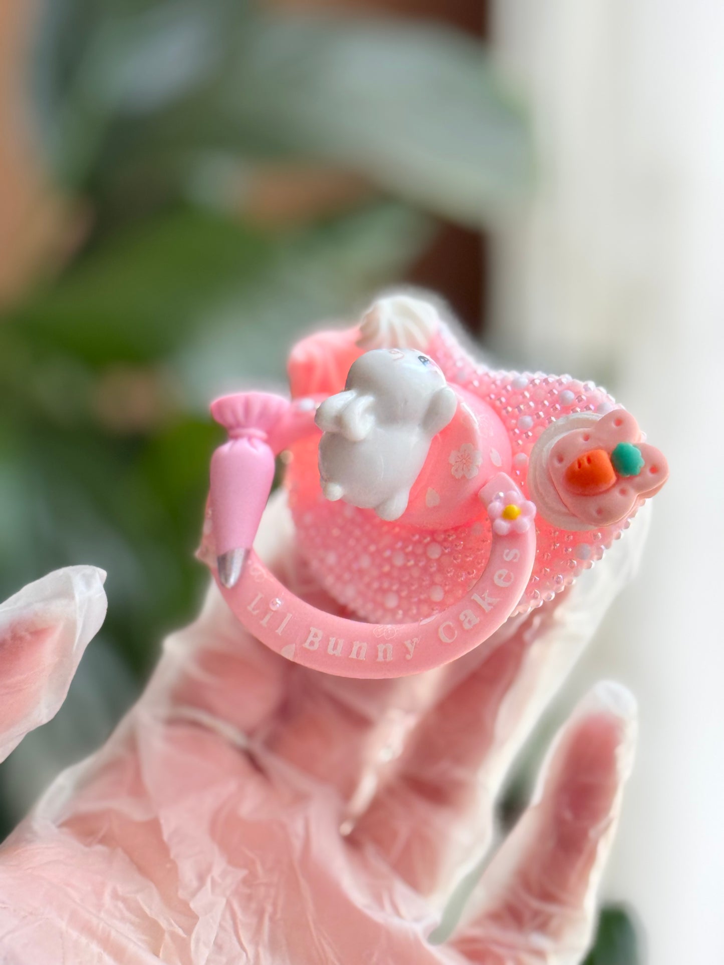 Lil bunny cakes adult sized pacifier