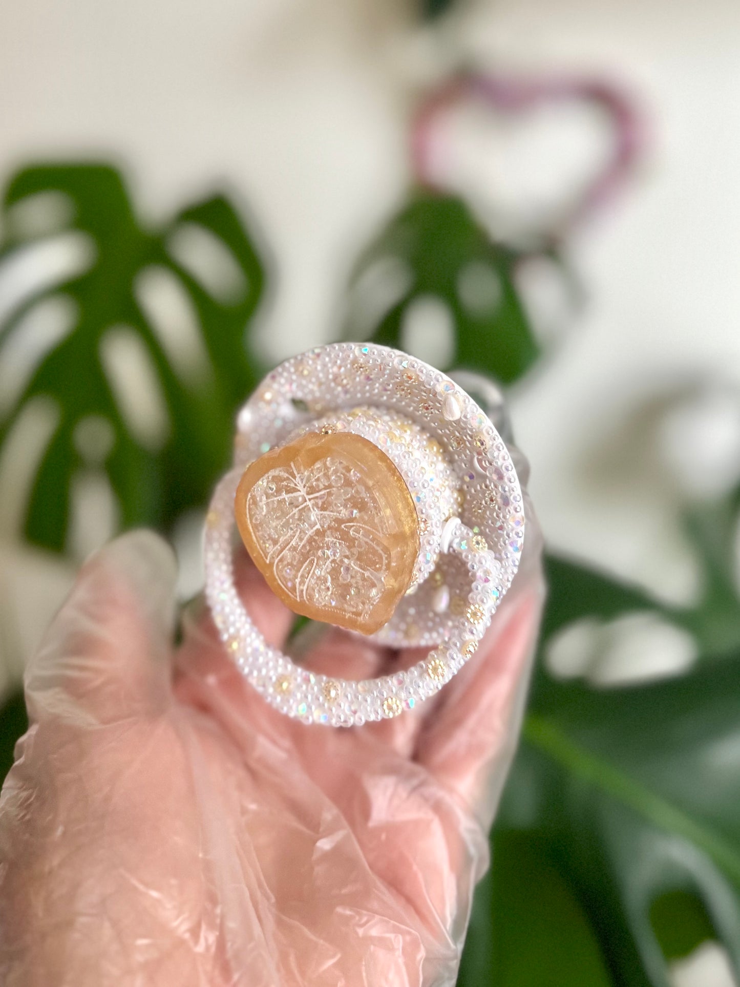 Monstera dry shaker adult sized round pacifier